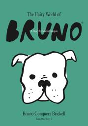Icon image The Hairy World of Bruno: Bruno Conquers Brickell