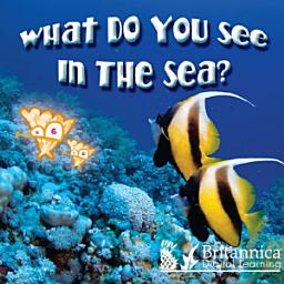 Icon image What Do You See in the Sea?