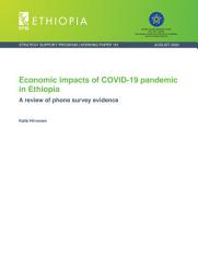 Icon image Economic impacts of COVID-19 pandemic in Ethiopia: A review of phone survey evidence