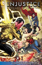 Icon image Injustice: Gods Among Us: Year Four (2015)