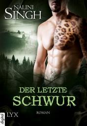 Icon image Der letzte Schwur