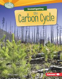 Icon image Investigating the Carbon Cycle