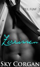 Icon image Zerrissen: Teil Fünf