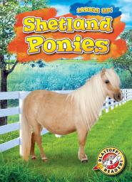 Icon image Shetland Ponies