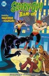 Icon image Scooby-Doo Team-Up (2013)