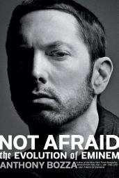 Icon image Not Afraid: The Evolution of Eminem