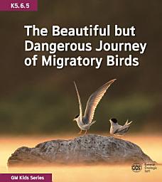 Icon image The Beautiful but Dangerous Journey of Migratory Birds