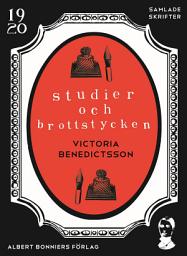 Icon image Studier och brottstycken