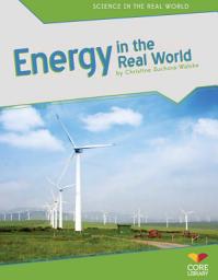 Icon image Energy in the Real World