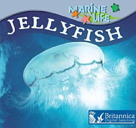 Icon image Jellyfish
