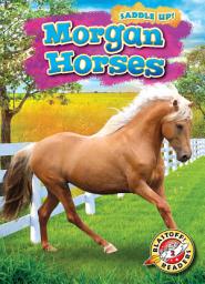 Icon image Morgan Horses