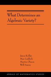 Icon image What Determines an Algebraic Variety?