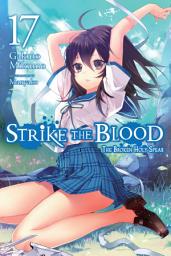 Icon image Strike the Blood (light novel): The Broken Holy Spear