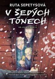 Icon image V šedých tónech - grafický román