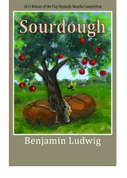Icon image Sourdough: A Novella