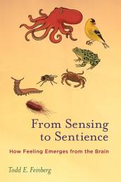 Icon image From Sensing to Sentience: How Feeling Emerges from the Brain