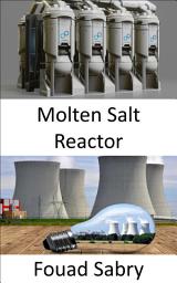 Icon image Molten Salt Reactor: Rethinking the fuel cycle in the future of nuclear power?