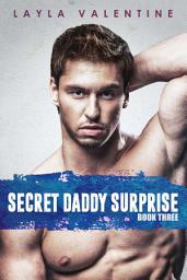 Icon image Secret Daddy Surprise (Book Three)