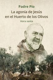 Icon image La agonía de Jesús en el Huerto de los Olivos: Hora santa