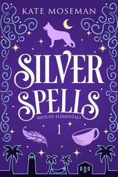 Icon image Silver Spells: A Paranormal Women's Fiction Novel