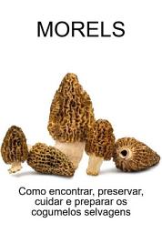 Icon image Morels