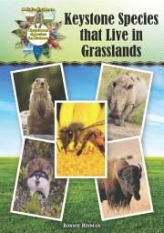 Icon image Keystone Species That Live in Grasslands