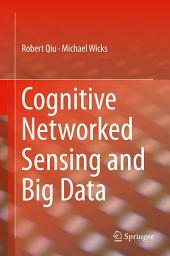 Icon image Cognitive Networked Sensing and Big Data