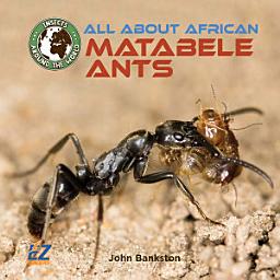 Icon image All About African Matabele Ants