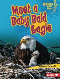 Icon image Meet a Baby Bald Eagle