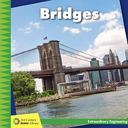 Icon image Bridges