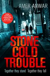 Icon image Stone Cold Trouble