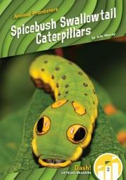 Icon image Spicebush Swallowtail Caterpillars