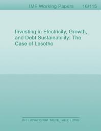 Icon image Investing in Electricity, Growth, and Debt Sustainability: The Case of Lesotho