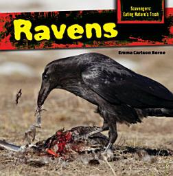 Icon image Ravens