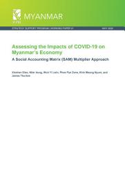 Icon image Assessing the impacts of COVID-19 on Myanmar’s economy: A Social Accounting Matrix (SAM) multiplier approach