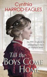 Icon image Till the Boys Come Home: War at Home, 1918