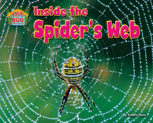 Icon image Inside the Spider’s Web