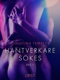 Icon image Hantverkare sökes Del 1 - erotisk novell