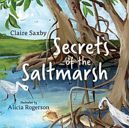 Icon image Secrets of the Saltmarsh