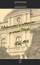 Icon image Modernizare și urbanizare în orașul Pitești (1866-1914)