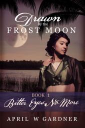 Icon image Bitter Eyes No More: a Christian Historical Romance with Native American themes