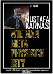 Icon image WIE MAN METAPHYSISCH IST?
