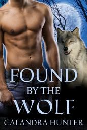 Icon image Found by the Wolf: Gay Paranormal Romance