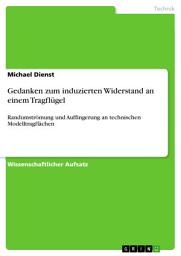 Icon image Gedanken zum induzierten Widerstand an einem Tragflügel: Randumströmung und Auffingerung an technischen Modelltragflächen