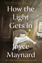 Icon image How the Light Gets In: A Novel