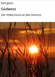 Icon image Südwest: Der Völkermord an den Hereros
