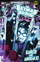 Icon image Batman and Robin (2023)