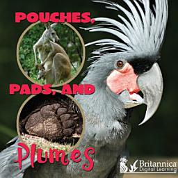 Icon image Pouches, Pads, and Plumes