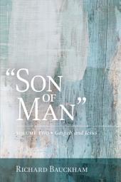 Icon image "Son of Man" Volume 2: Gospels and Jesus