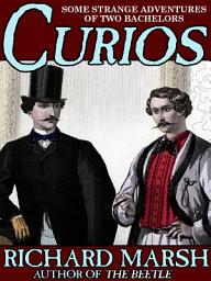 Icon image Curios: Some Strange Adventures of Two Bachelors